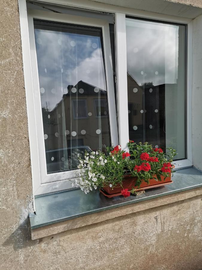 Dzivoklis Vecpilseta Apartment Бауска Екстериор снимка